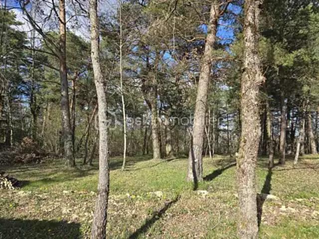 Campagne 24260 Achat / Vente terrain