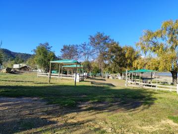 CAMPING ANGOSTURA, LAGO RAPEL