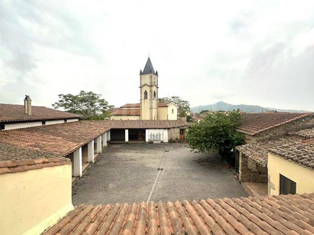 Campidanese in vendita a Baradili