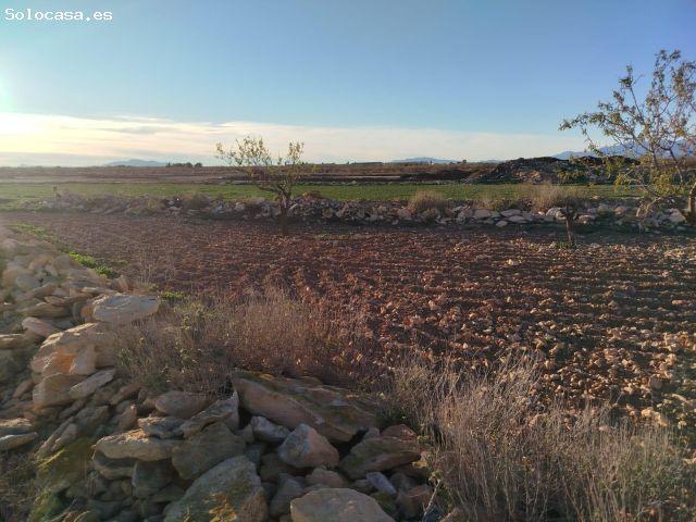 Campillo de Arriba parcela Rustica con almendros