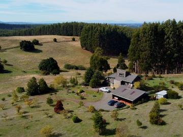 Campo talingotinto 10.5ha región de los ríos