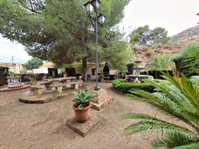 Campo único en Elda, una joya por descubrir