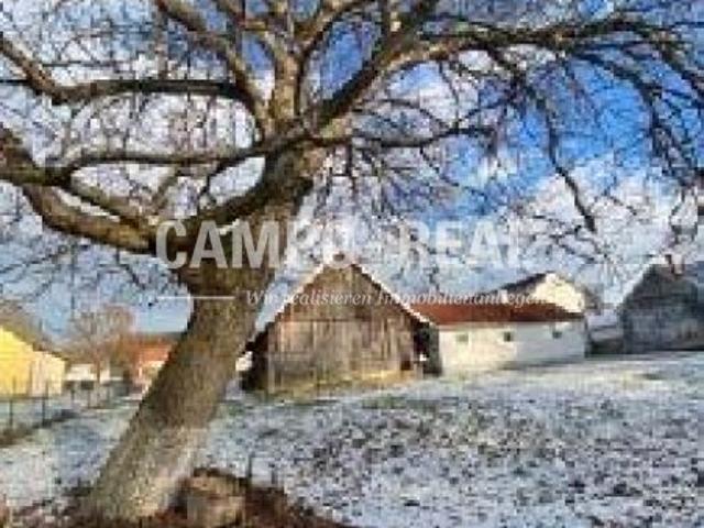 CAMPO BIETERVERFAHREN BAUERNHAUS: großes Nutzungspotenzial im Ortsmitte