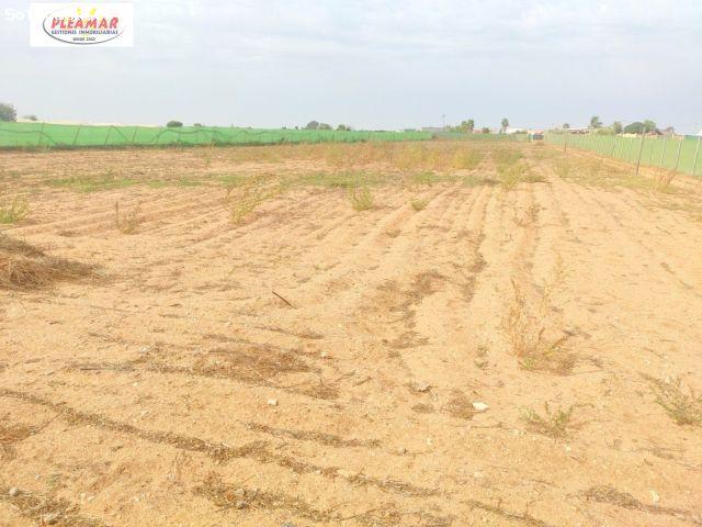 CAMPO CON CASETA AGRICOLA ZONA CMAINO DEL OLIVAR