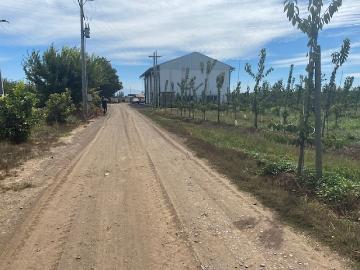 campo de 13 hás curicó frutas exp y frigorífico