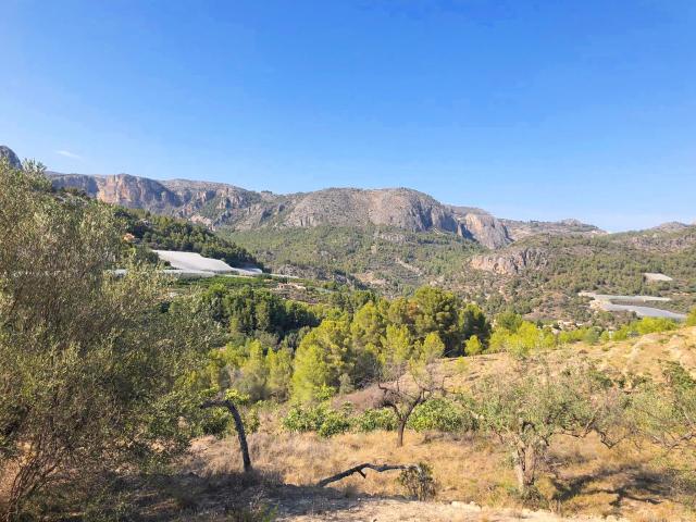 Campo en Bolulla