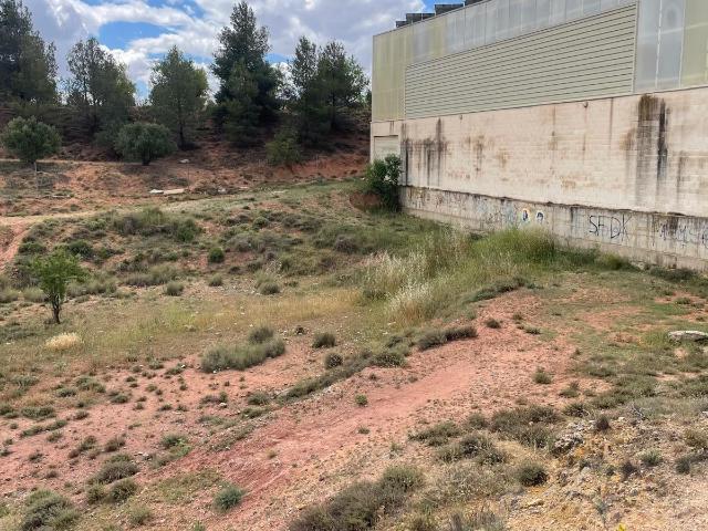 Campo en Fuentealbilla