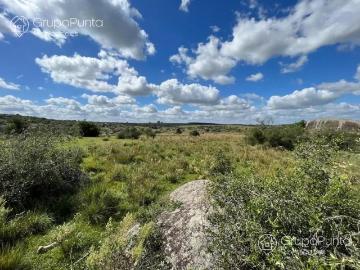 Campo Ganadero en San Jose de 126 ha, Sierra de Mahoma, Ganadero