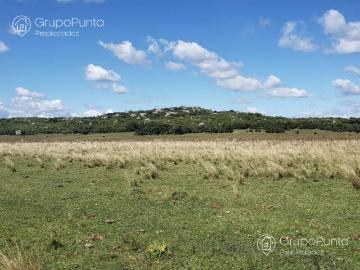 Campo Ganadero en San Jose de 126 ha, Sierra de Mahoma, Ganadero