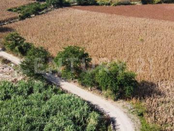 Terreno En Venta En Miacatlán, Miacatlán