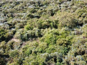 Terreno En Venta En Miacatlán, Miacatlán
