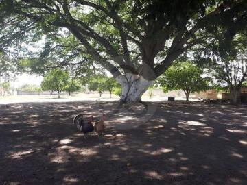 Campo Pintora: Terreno residencial en venta en Xoxacotla