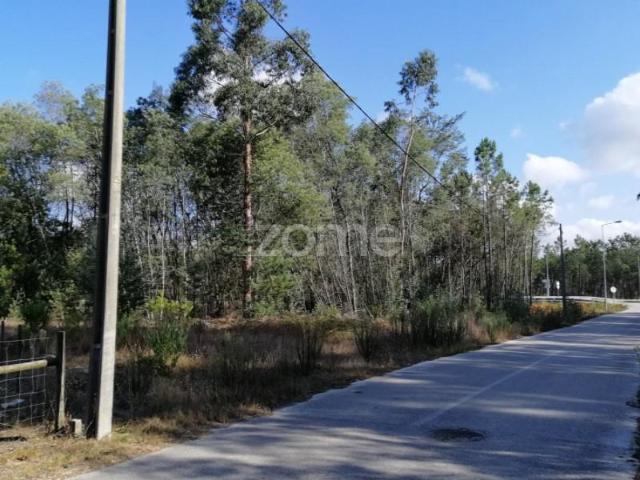 Cantanhede Cantanhede 92813040