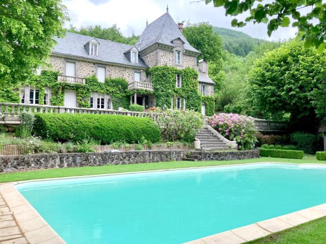 CANTAL, Château des Sources à vendre