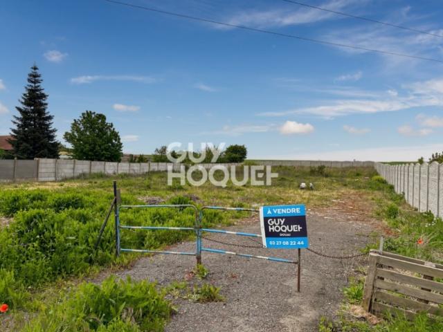 Cantin Vente Terrain 59