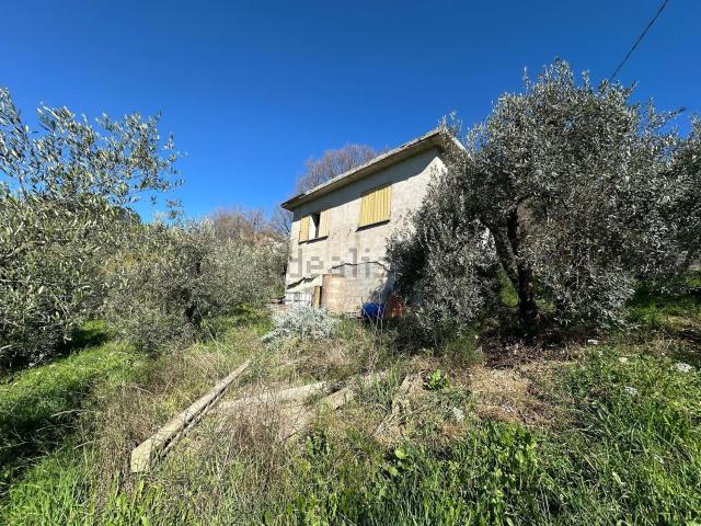 Cantina in vendita di m² in Strada dei Mandrilli
