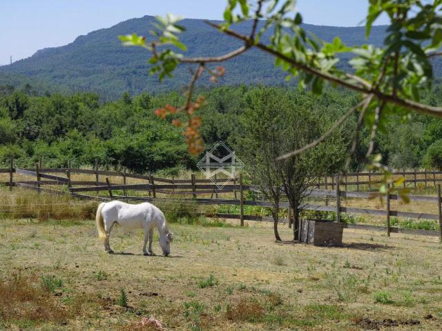 Canton de Fayence – Mas ancien 552m² Fayence