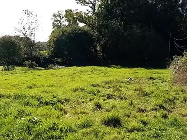 Cany Barville 76450 Achat / Vente terrain