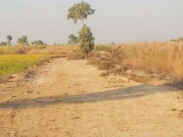 Canal Irrigated Land for Sale in D. I.Khan Dera Ismail Khan ID 53823