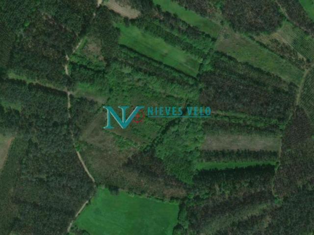 Cances: Venta de Monte de 23.817 metros cuadrados, en la zona de Liñeiro