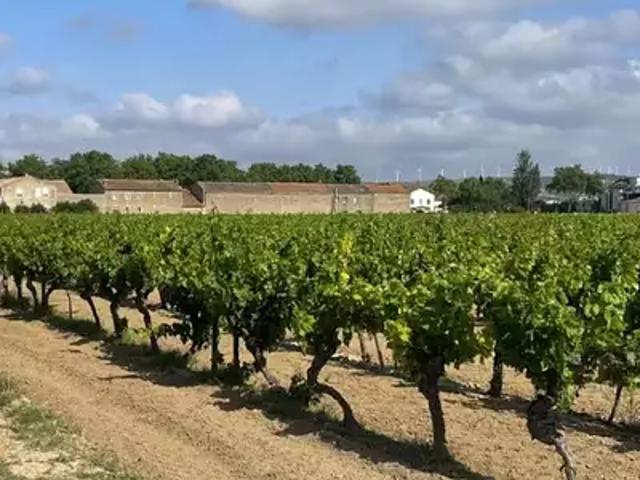 Canet 11200 Programme neuf terrain neuf à vendre