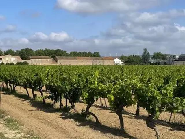 Canet 11200 Programme neuf terrain neuf à vendre