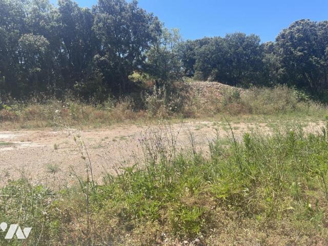 Canet Vente Terrain 34
