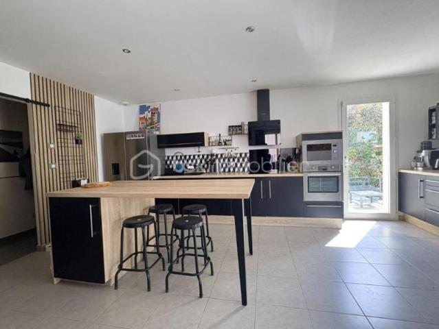 CANET D'AUDE PLAIN PIED 4 CHAMBRES VERANDA DEPENDANCE SPA FORAGE