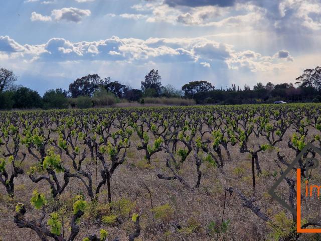Canet en Roussillon Vente Terrain 66