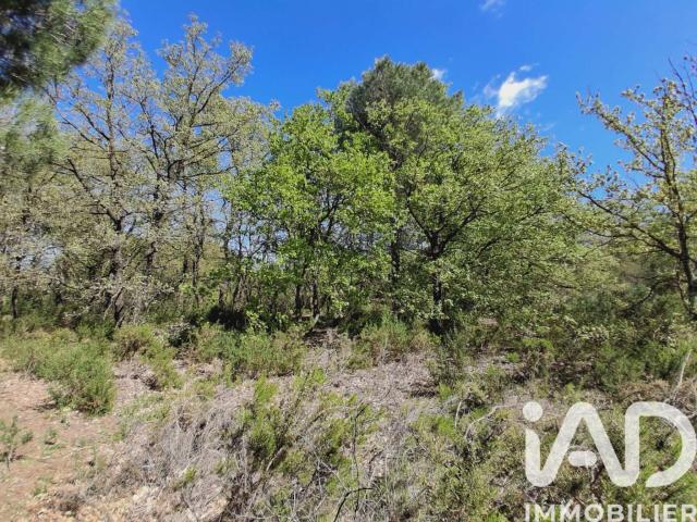 Canet en Roussillon Vente Terrain 66