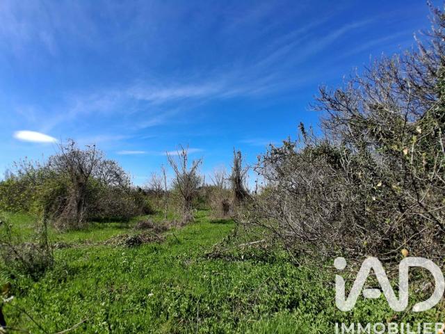 Canet en Roussillon Vente Terrain 66