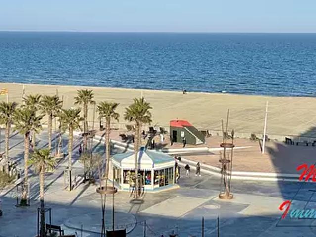 Canet en Roussillon 66140 Achat / Vente appartement 1 pièce t1 piscine terrasse