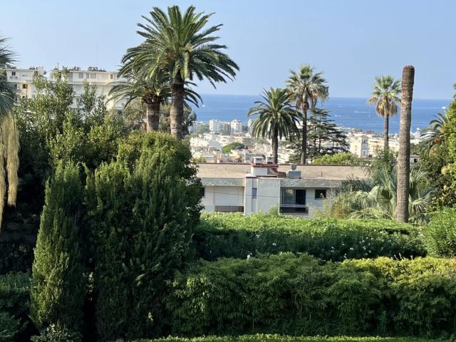 Cannes Californie