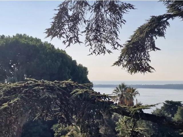 Cannes Californie 3P magnifique vue mer