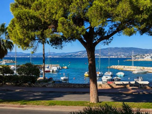 Cannes Croisette Élégant 2 pièces d’exception avec vue mer