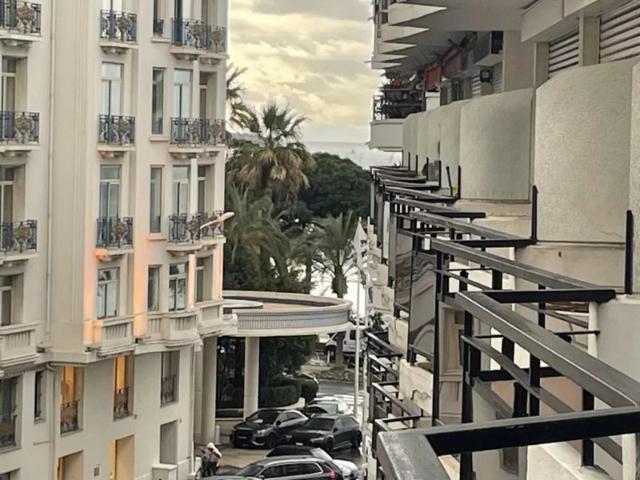 CANNES BANANE GRAND STUDIO 36 M2