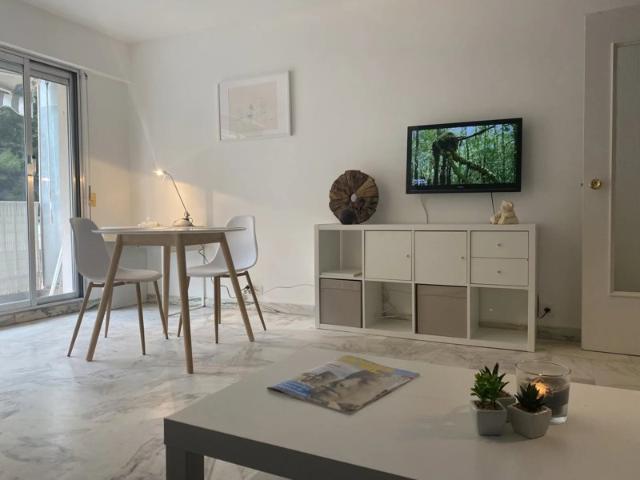Cannes, bas BD Carnot, au calme, Grand studio meublé 30m2 avec terrasse, Très bon état, cave, expo OUEST