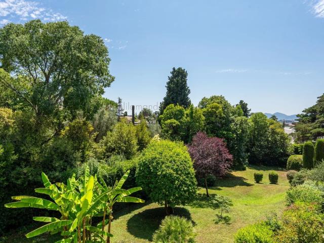 Cannes Montrose Grand 2 Pieces Parfait Etat Terrasse P. 56m² Cannes