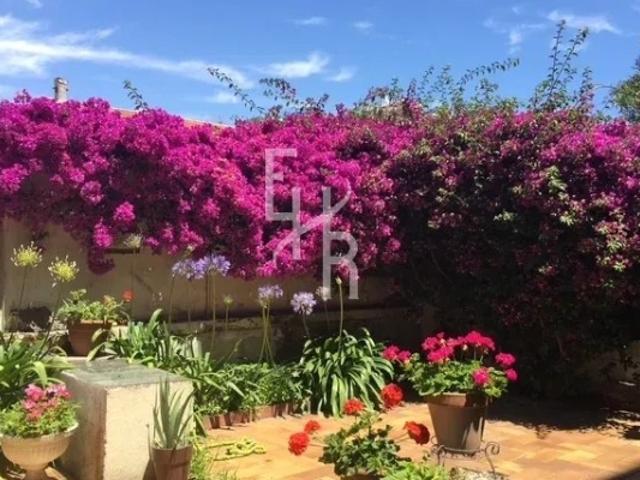 Cannes pointe Croisette, duplex en rdj avec grande terrasse