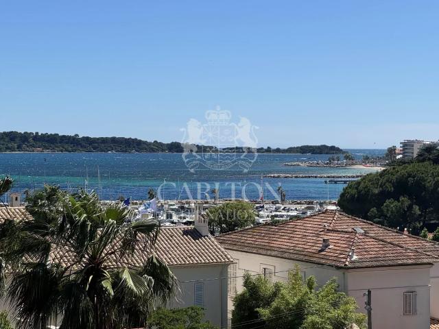 Cannes Palm Beach Spacieux appartement 4 pièces rénové avec vue sur mer