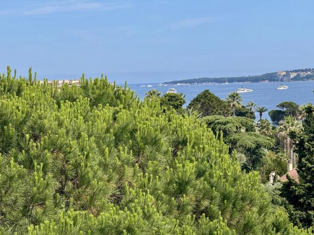 Cannes Vente 3 pièces à 2 pas des plages 68m² Cannes
