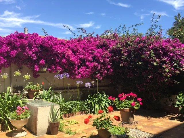 Cannes Vente Appartement 06