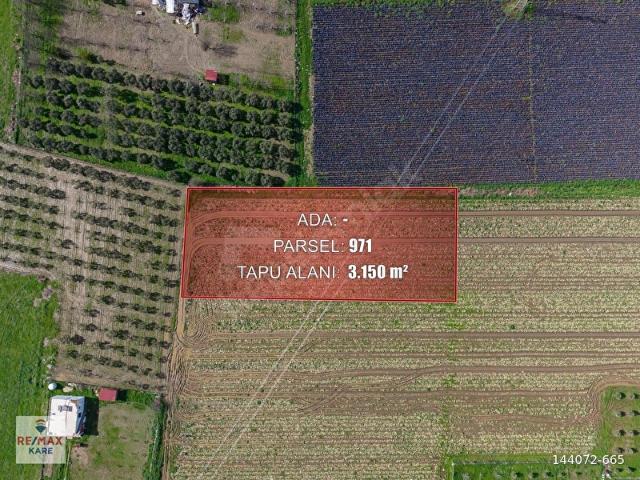 CANSIN ÖNEÇ'ten TORBALI ARSLANLAR'DA MÜSTAKİL TAPU 3150m2 ARAZİ