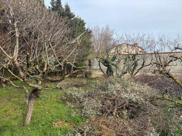Cabannes Vente Terrain 13