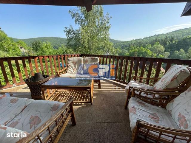 CabanaVila de inchiriat Valea Budului, Margineni