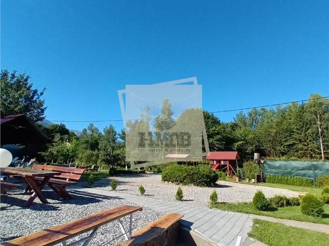 Cabana cu 7 camere piscina si 2300 mp teren pe Valea Avrigului