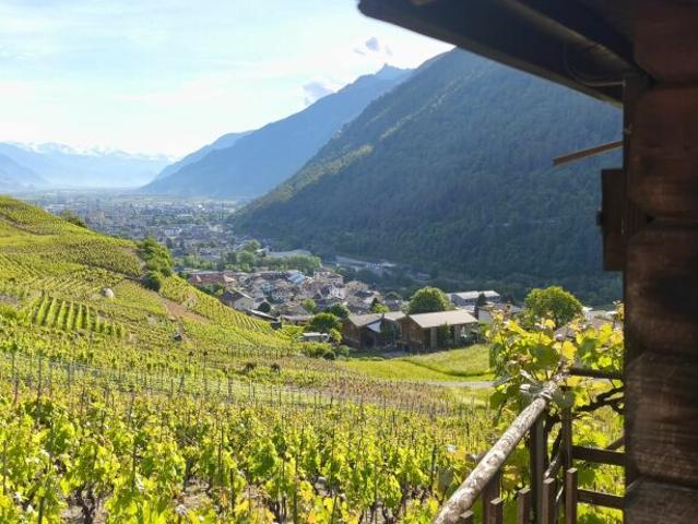 Cabane dans les vignes Martigny