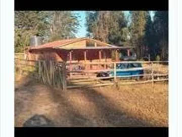 Cabaña algarrobo el totoral punta de tralca | 2 dormitorios por 50000. 00 en Algarrobo