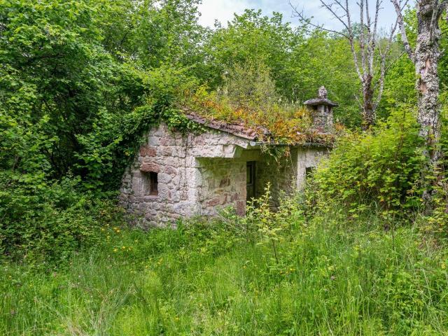 CABAÑA CON TERRENO EN LOS LAGOS DE COVADONGA