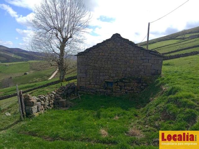 Cabaña pasiega con amplio terreno, San Pedro Romeral